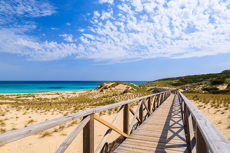 Dunes in Cala Mesquida