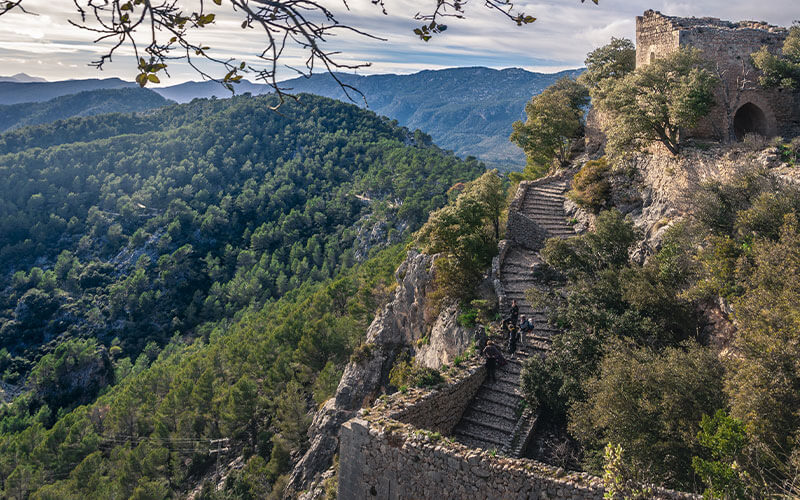 Castillo de Alaró View