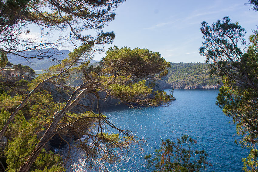 Port de Sóller View