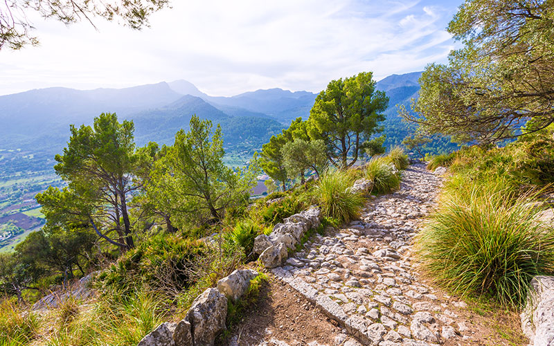 Puig de Maria View