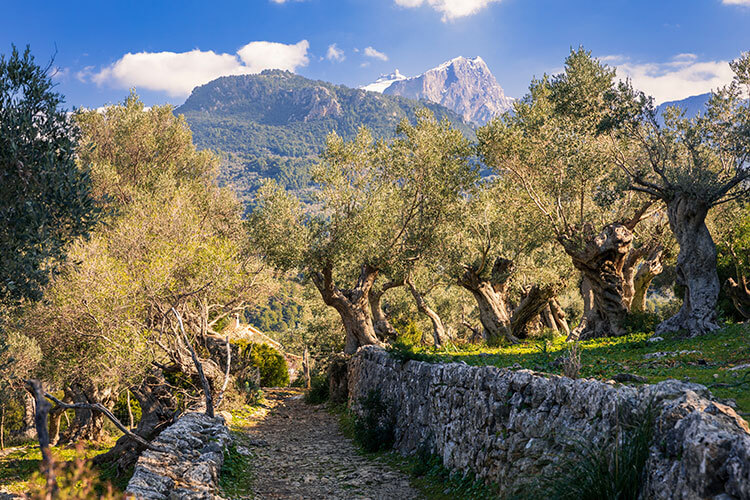 mallorca hiking