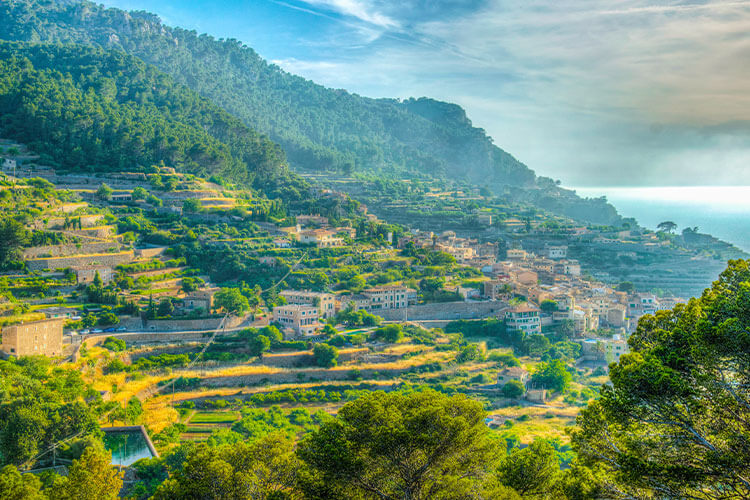 banyalbufar terrasse luftaufnahme