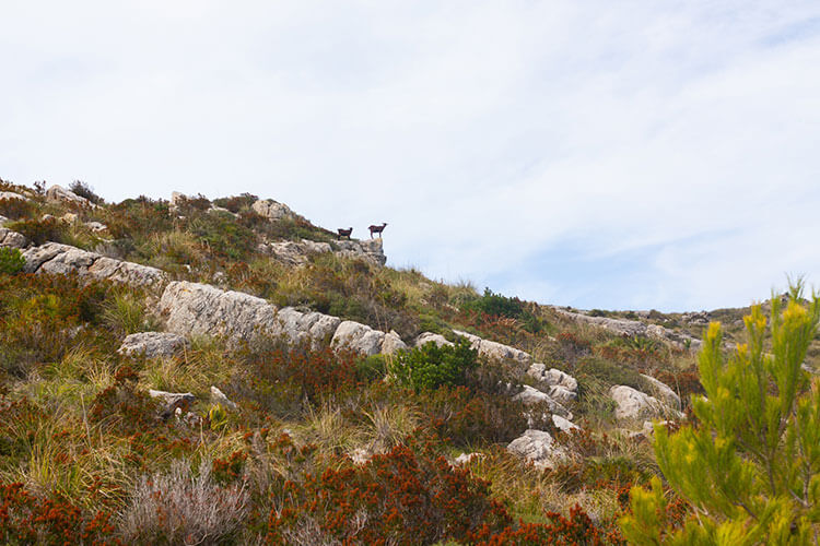 parc-natural-de-la-peninsula-de-llevant