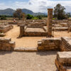 pollentia