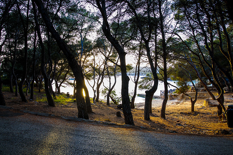 port colom beach road