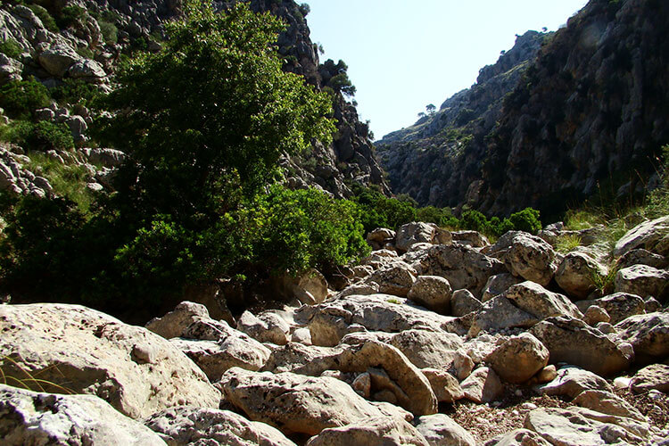 torrent-de-pareis
