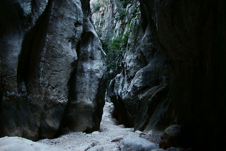 torrent de parreis