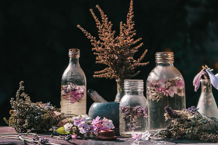 water-herbs