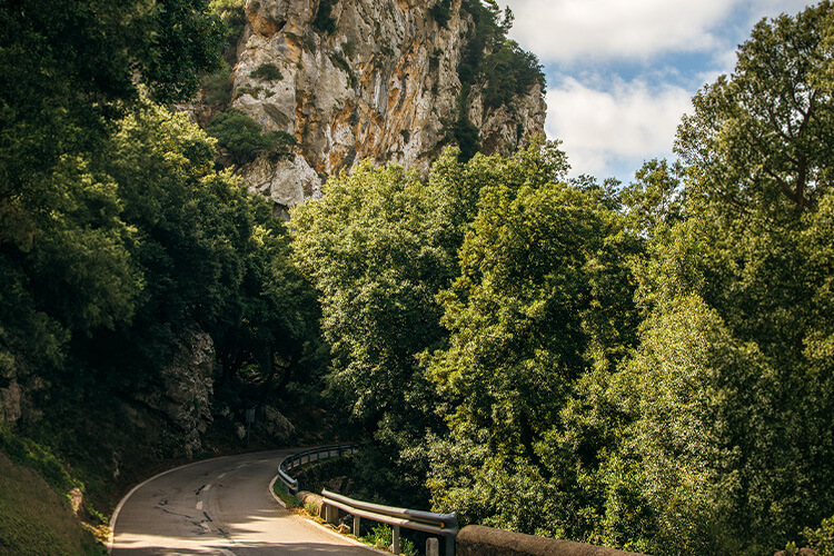 tramuntana road